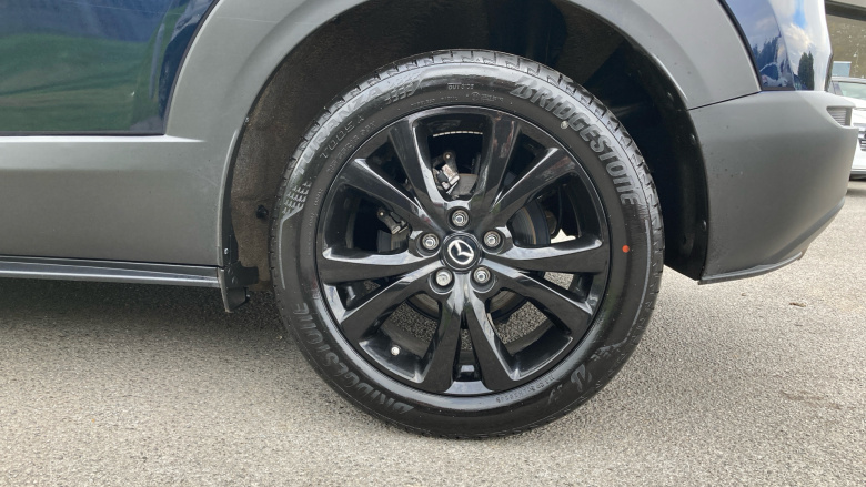 Mazda CX-30 2.5 e-Skyactiv G MHEV [140] Homura 5dr Petrol Hatchback